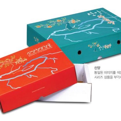 일반패키지 014