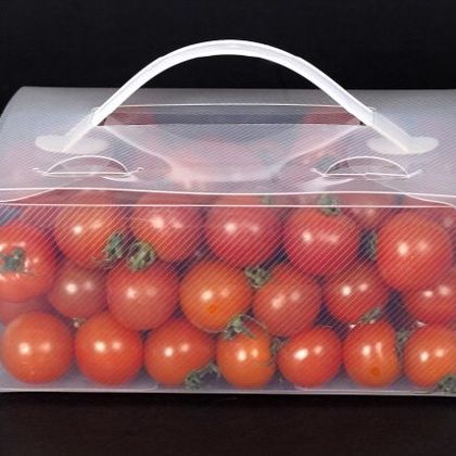 스마트 워싱팩 wp-027